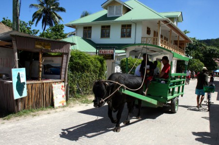 Ox Cart mezzo di trasporto di La Digue
